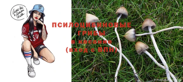 ГАЛЛЮЦИНОГЕННЫЕ ГРИБЫ Алексеевка