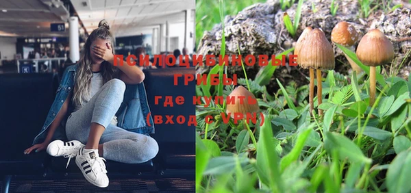 спиды Алексин