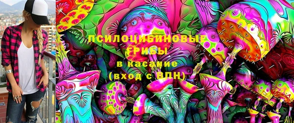 ГАЛЛЮЦИНОГЕННЫЕ ГРИБЫ Алексеевка