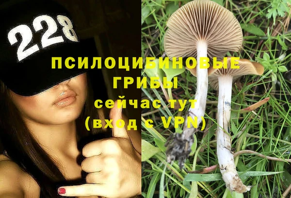 ГАЛЛЮЦИНОГЕННЫЕ ГРИБЫ Алексеевка