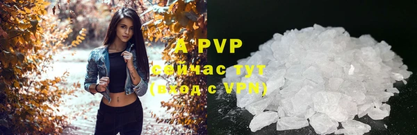 СК Алзамай