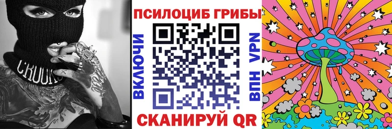 наркошоп  Тайшет  площадка состав  Галлюциногенные грибы Psilocybe 