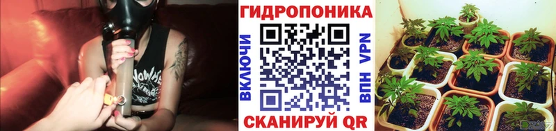 Марихуана гибрид  Тайшет 